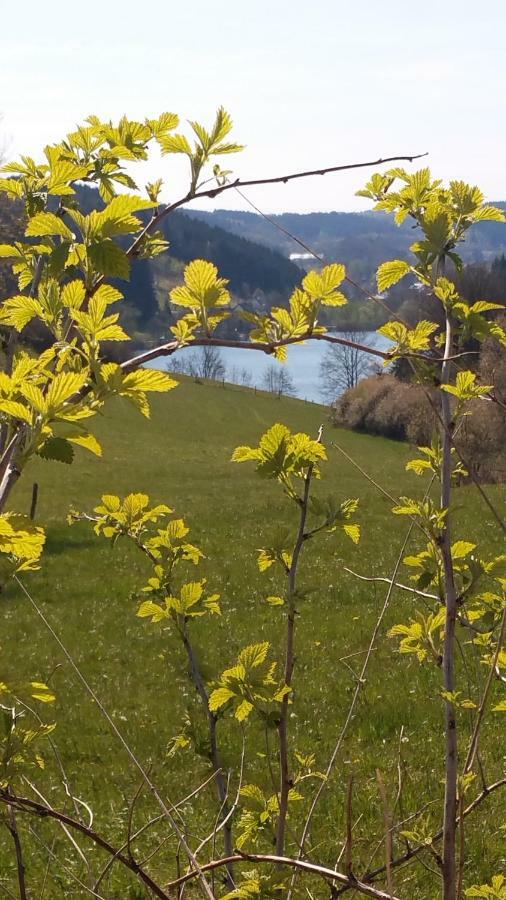 Ferienhaus " Silly " Am Schoenen Listersee Meinerzhagen Kültér fotó